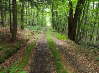 150 Shanley Rd LOT WP001, Deposit, NY 13754