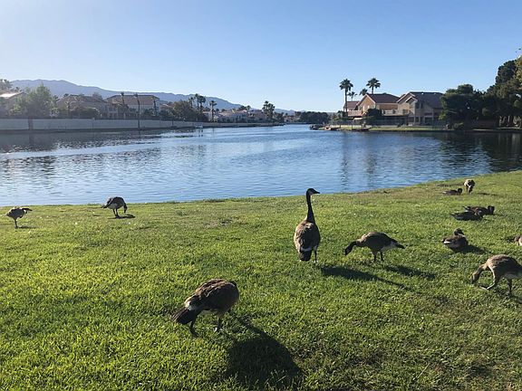 2nd image of 3151 Soaring Gulls Dr Unit 1070