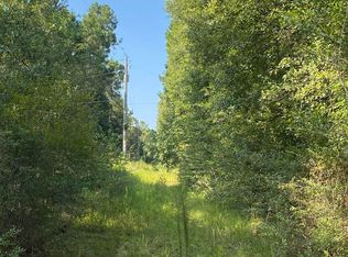 Owl Hoot Rd, Perkinston, MS 39573