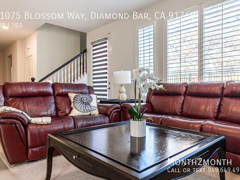 21075 Blossom Way — Photo 21