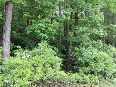 0 Highway 356 #1, Sautee Nacoochee, GA, 30571