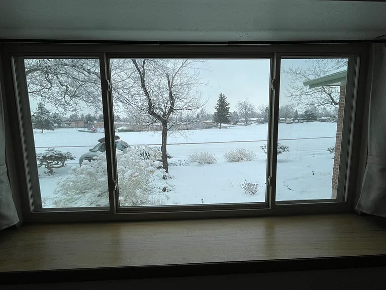 living room window