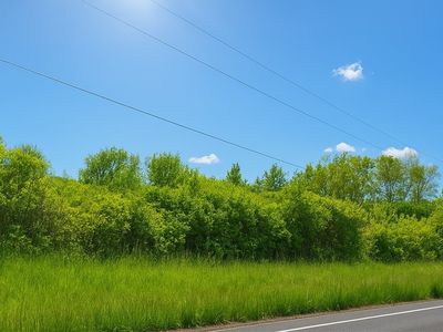 4600 Chubb Hollow Rd, Dundee, NY, 14837
