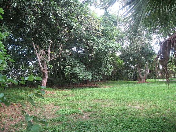 side yard