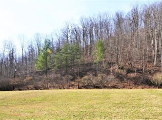 1113 Rodburn Hollow Rd, Morehead, KY 40351