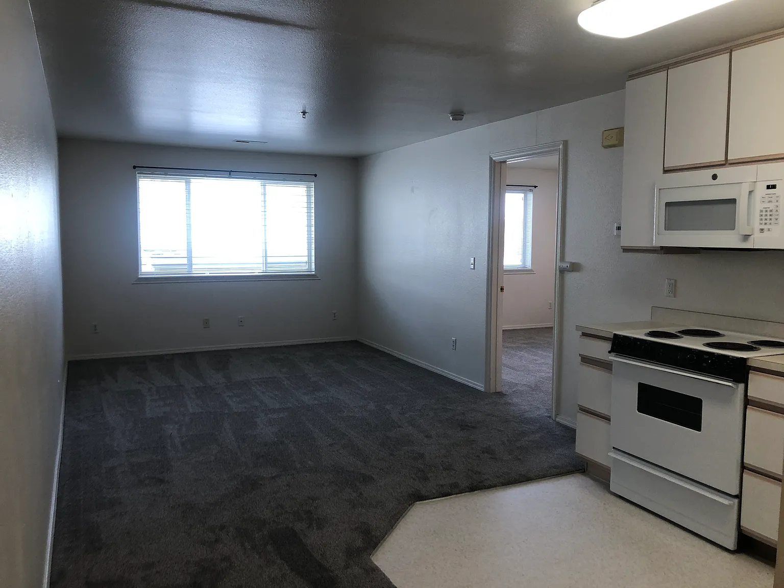 1 bed, 617 sqft, $1,100 — Photo 2