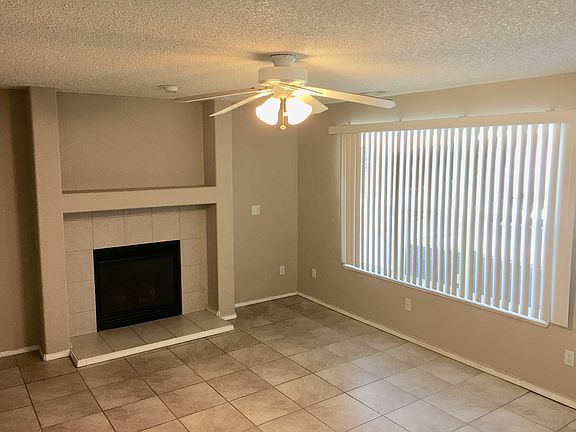 Lower Den and Gas Fireplace