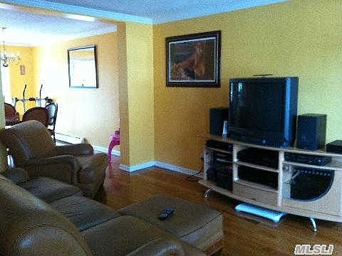 4th image of 1023 Delia Ct