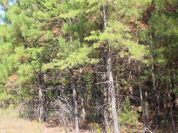5th image of 413 Us Highway 78 W Lot 0