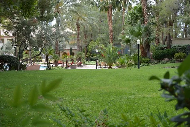 220 E Flamingo Rd #330 — Photo 33