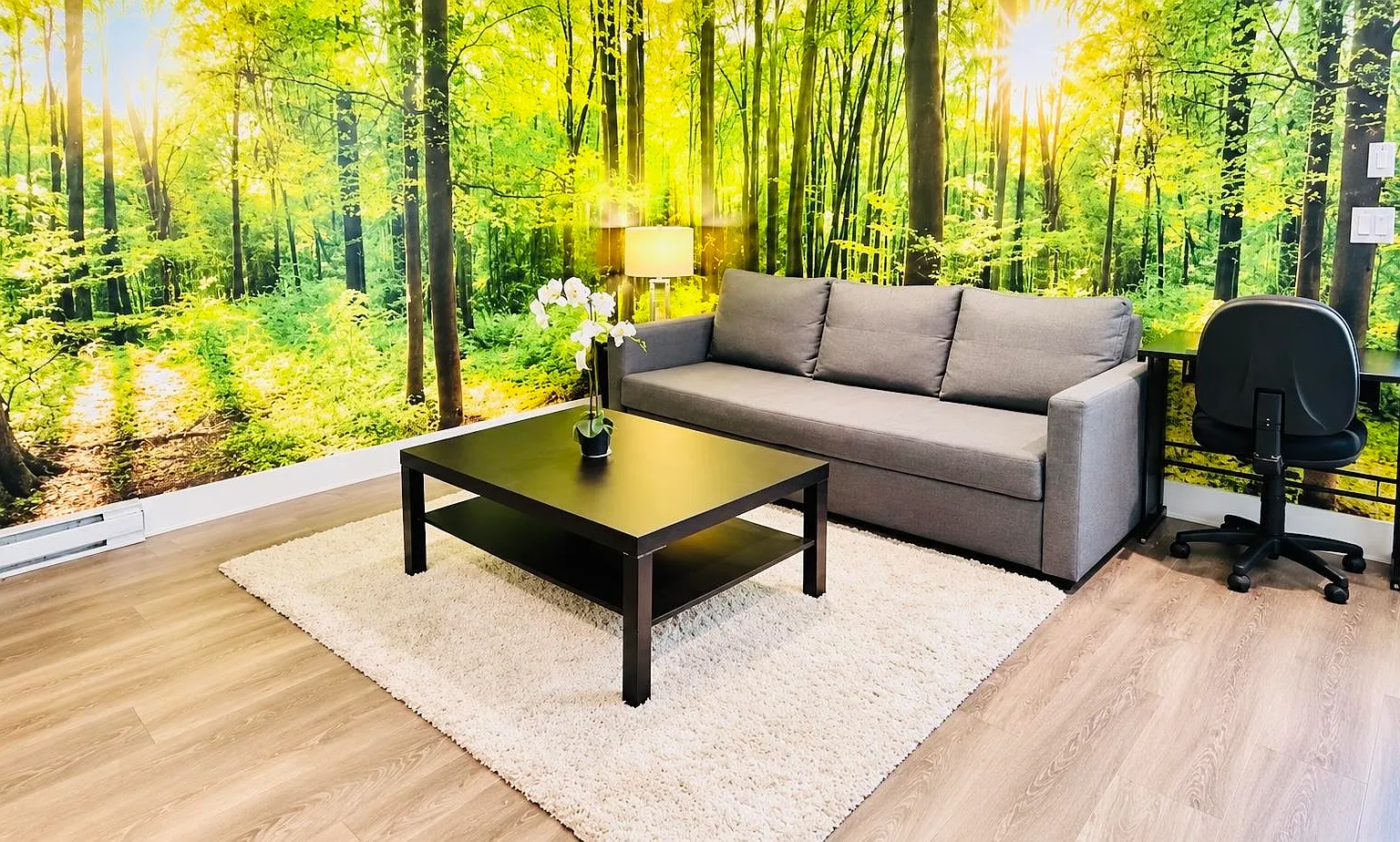 1 bed, 650 sqft, $1,999 — Photo 1