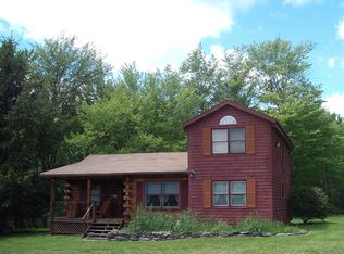 203 Silas Lake Rd, Halcott Center, NY 12430