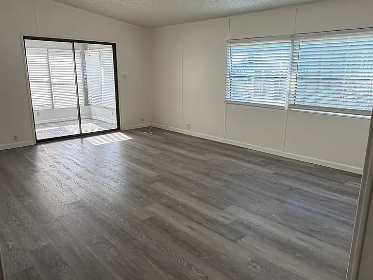 sun filled living room