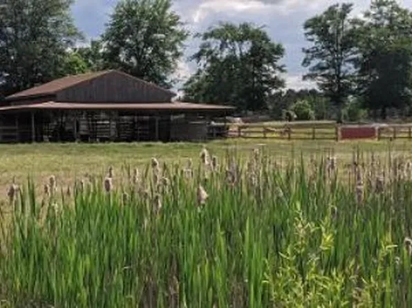 2465 Pine Grove Rd, Ward, SC 29166