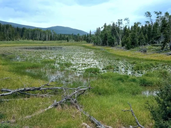 Nhn Moose Lake Rd Lot 3, Philipsburg, MT 59858