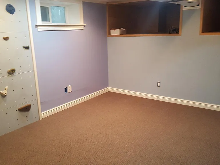 Basement playroom / bonus room