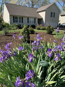 5814 Azalea Garden Rd, Norfolk, VA, 23518