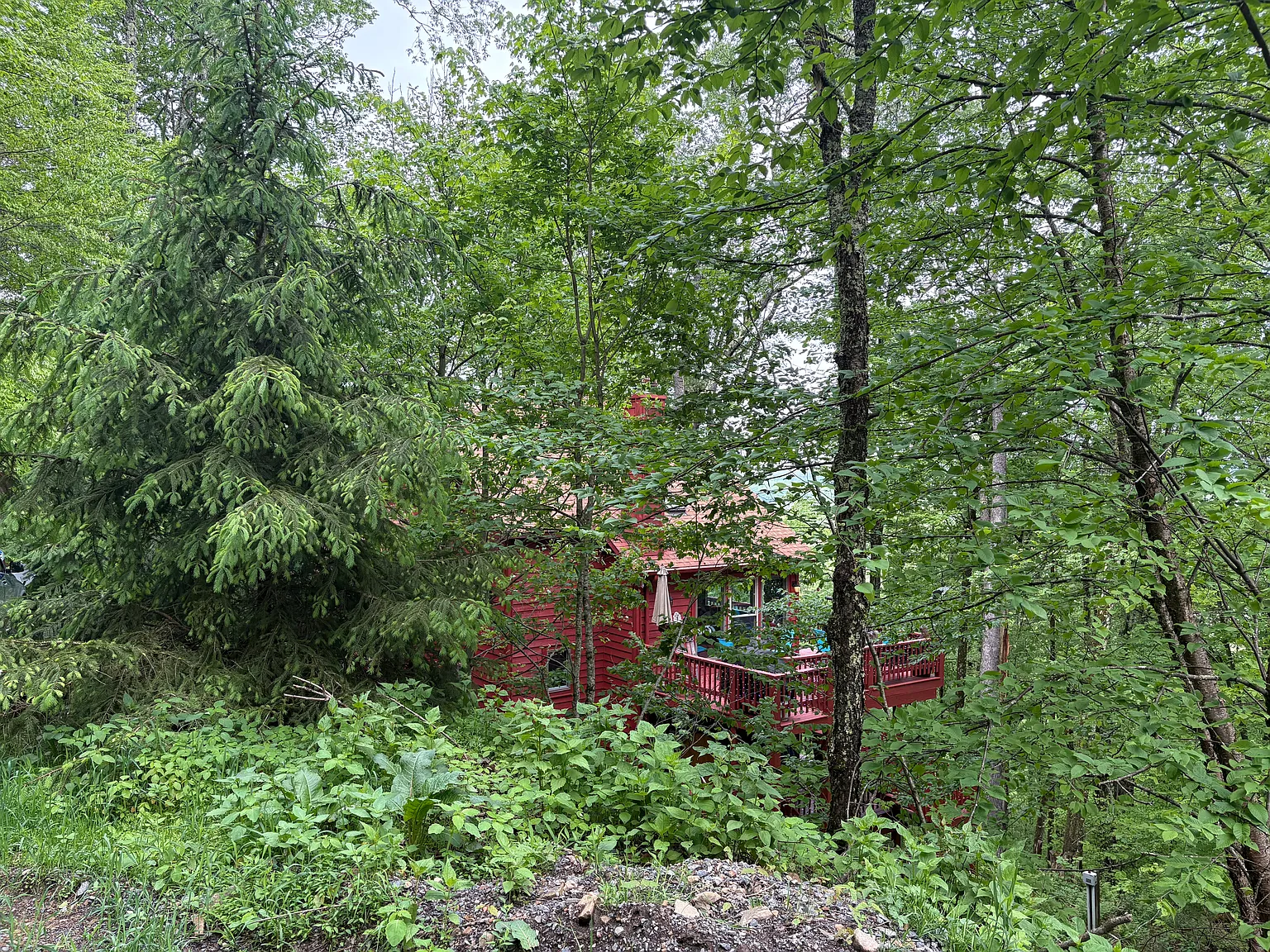 3 bed, 1600 sqft, $3,500 — Photo 2