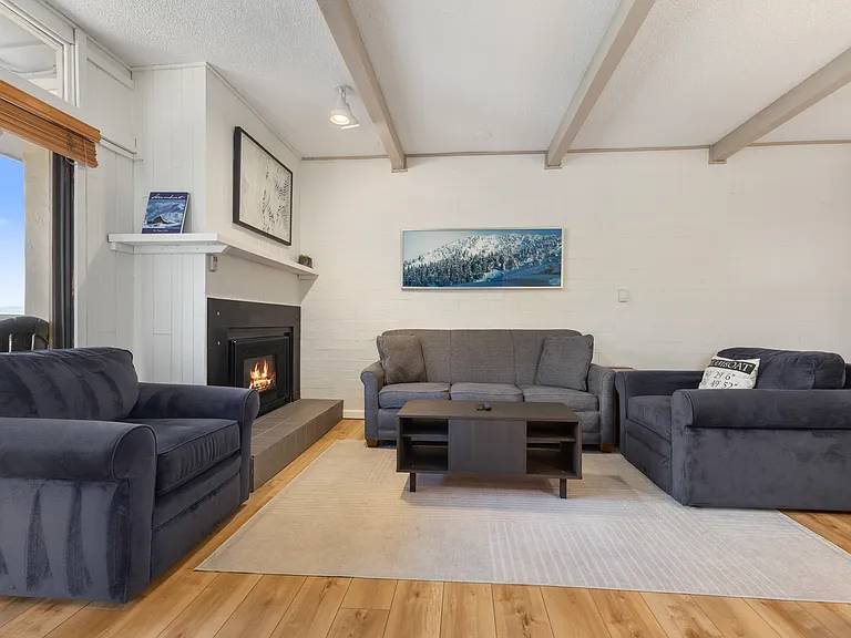 Fireplace | Living Room | Pullout Sofa (Queensize)