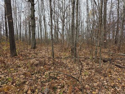 On Hwy 48, Rice Lake, WI, 54868