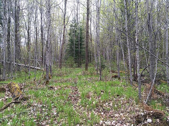 5th image of ON NICOLET HILLS RD