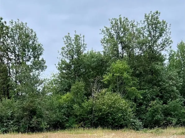 113 59 Beck Road, Onalaska, WA 98570