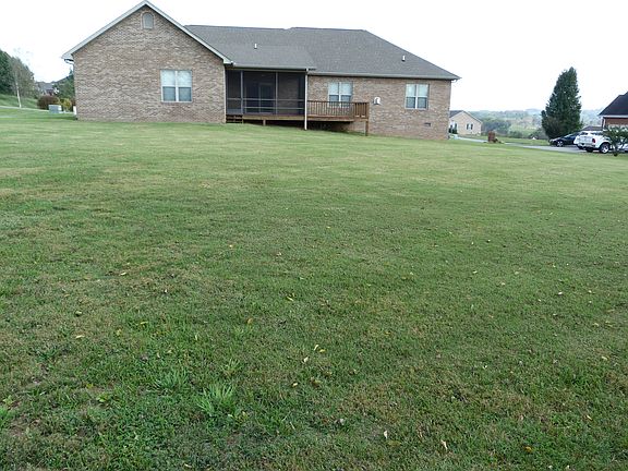 Large backyard