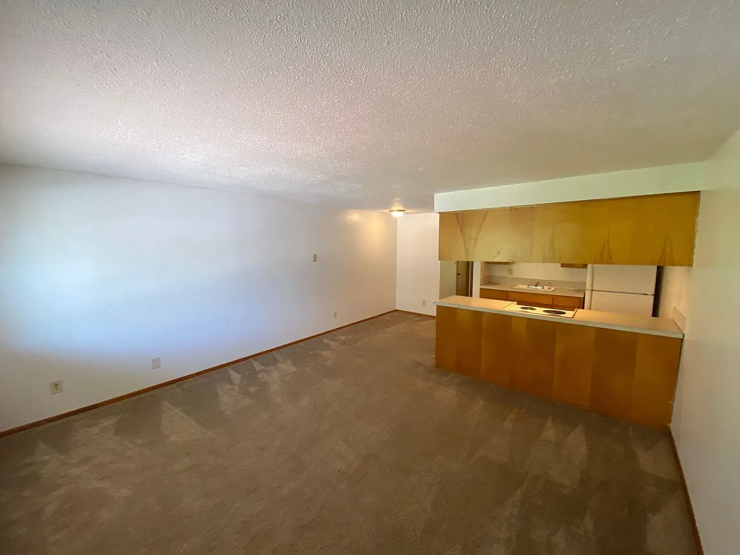 1 bed, 1.0 bath, 600 sqft, $1,150 — Photo 4
