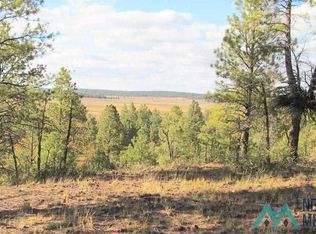 157 Forest Rd #B, Ramah, NM 87321