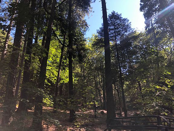 2nd image of 9525 Lovina Dr N