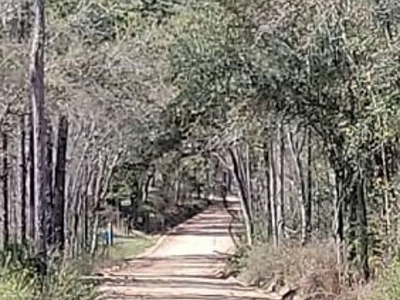 Exterior Neighborhood (street photo)