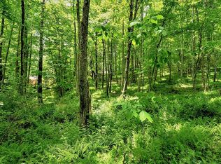 61 Hickory Ridge Trl, Hendersonville, NC 28739