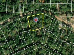 Story Dr, Livingston, TX 77351