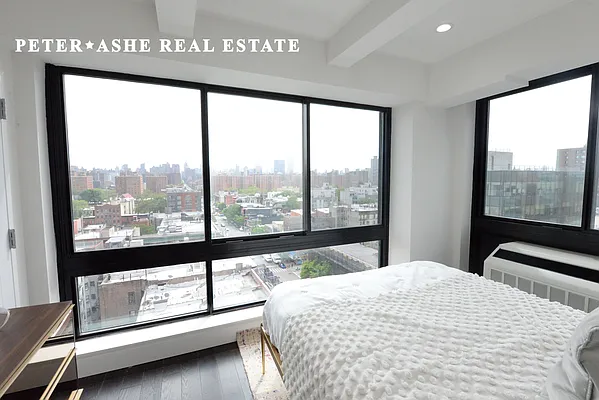 Rented by Peter Ashe | media 15