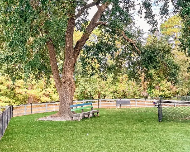 Hawthorne Commons — Photo 11