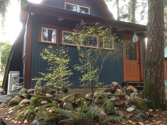 Lots of native plants