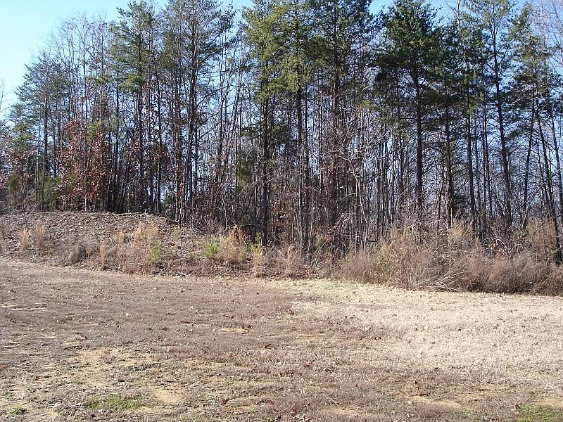 1st image of 146 Palmer Marsh Pl