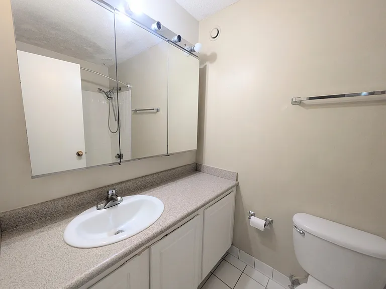 10 E Ontario St #1105 — Photo 12