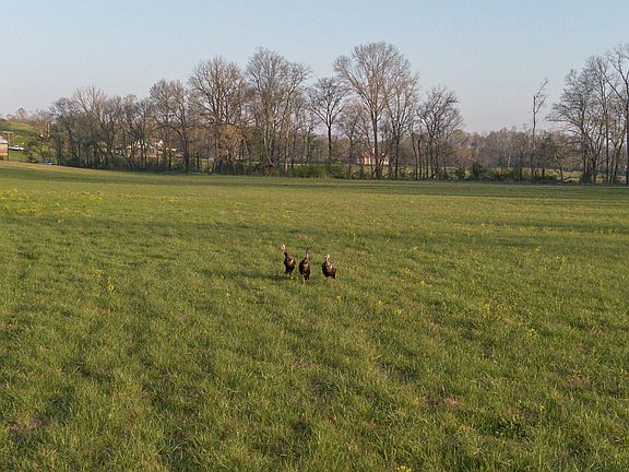 8th image of this home