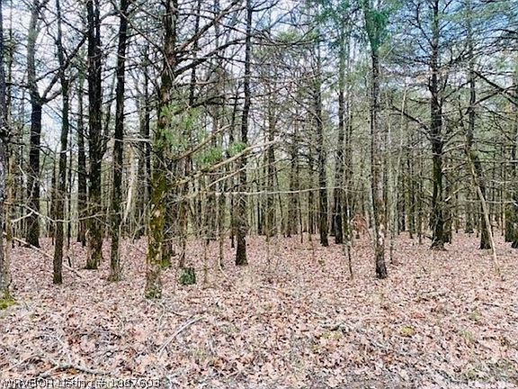 3rd image of Pawpaw Branch Rd