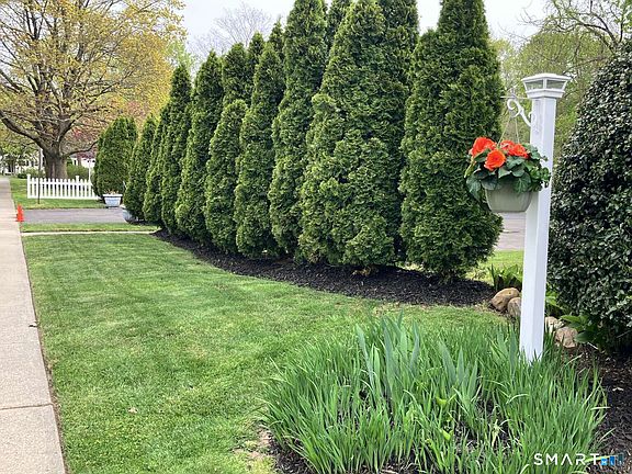 5th image of 294 Church Street