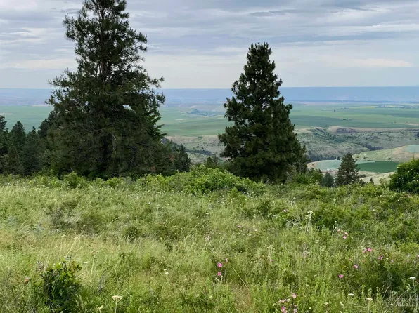 Forsman Ln, Lewiston, ID 83501