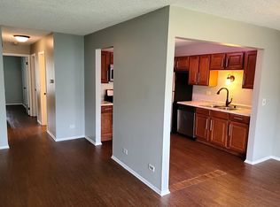 221 Hawthorne Ct Unit C1, Schaumburg, IL 60193