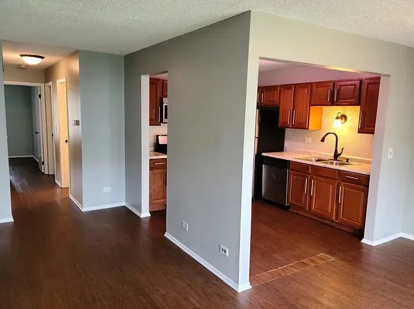 221 Hawthorne Ct Unit C1, Schaumburg, IL 60193