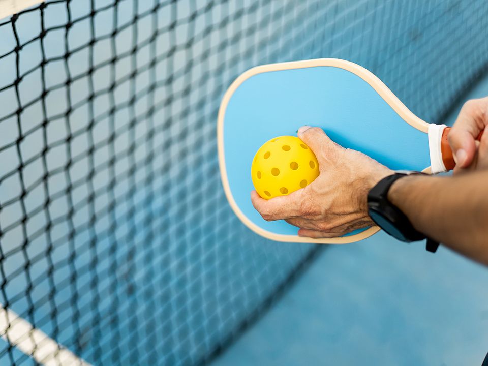 Pickleball Court