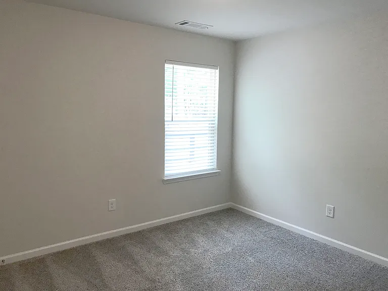3039 Morgan Spring Trl — Photo 15