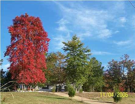 2nd image of 1321 Persimmon Trce