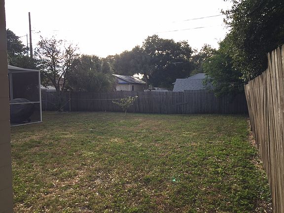 Back yard