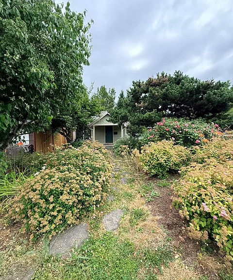 Colorful low maintenance native front yard plantings.