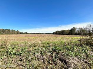 LOT 4 Savoie Rd, Sunset, LA 70584